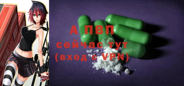 амф Новодвинск