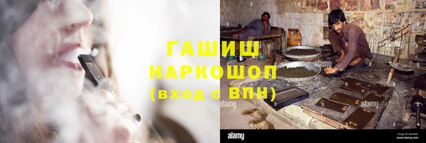 ГАЛЛЮЦИНОГЕННЫЕ ГРИБЫ Новозыбков
