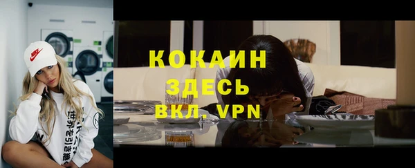 амф Новодвинск