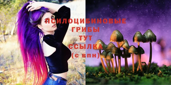 эйфоретик Нязепетровск