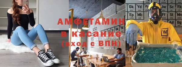 ГАЛЛЮЦИНОГЕННЫЕ ГРИБЫ Новозыбков