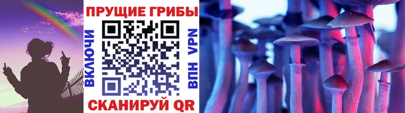 Купить закладки  Дедовск  Галлюциногенные грибы мухоморы 